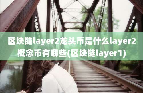 区块链layer2龙头币是什么layer2概念币有哪些(区块链layer1)