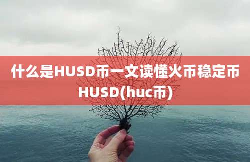 什么是HUSD币一文读懂火币稳定币HUSD(huc币)