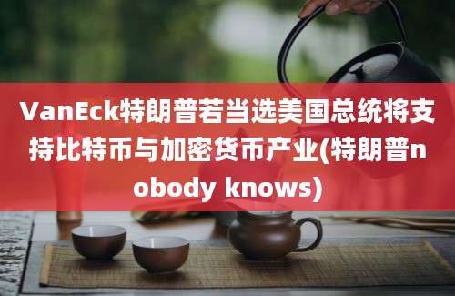 VanEck特朗普若当选美国总统将支持比特币与加密货币产业(特朗普nobody knows)