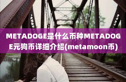 METADOGE是什么币种METADOGE元狗币详细介绍(metamoon币)