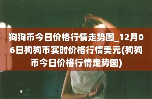 狗狗币今日价格行情走势图_12月06日狗狗币实时价格行情美元(狗狗币今日价格行情走势图)