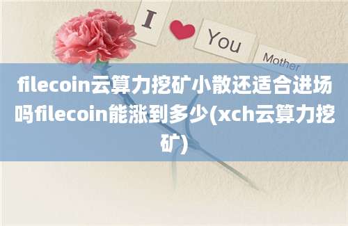 filecoin云算力挖矿小散还适合进场吗filecoin能涨到多少(xch云算力挖矿)