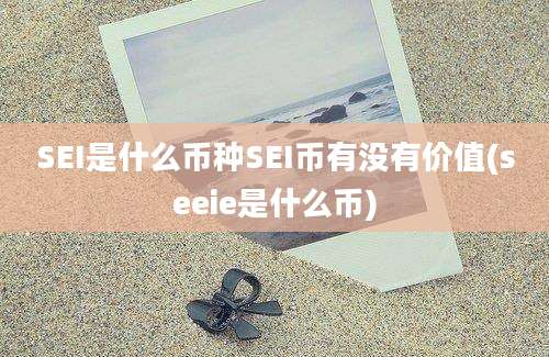 SEI是什么币种SEI币有没有价值(seeie是什么币)