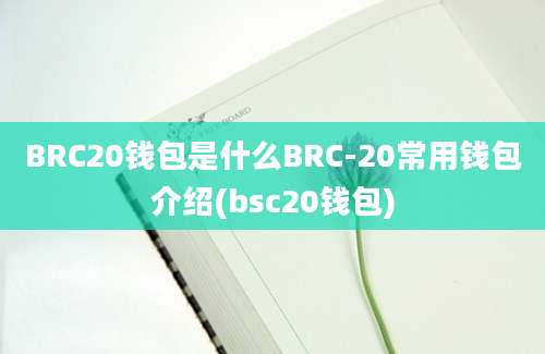 BRC20钱包是什么BRC-20常用钱包介绍(bsc20钱包)