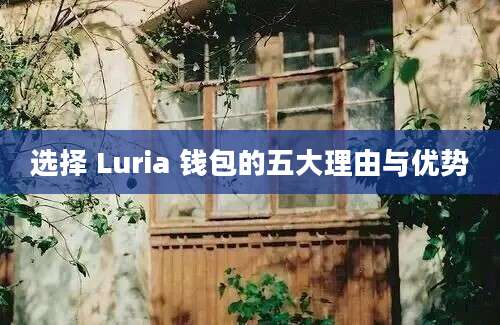 选择 Luria 钱包的五大理由与优势