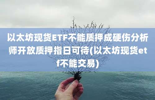 以太坊现货ETF不能质押成硬伤分析师开放质押指日可待(以太坊现货etf不能交易)