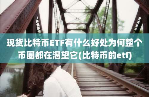 现货比特币ETF有什么好处为何整个币圈都在渴望它(比特币的etf)