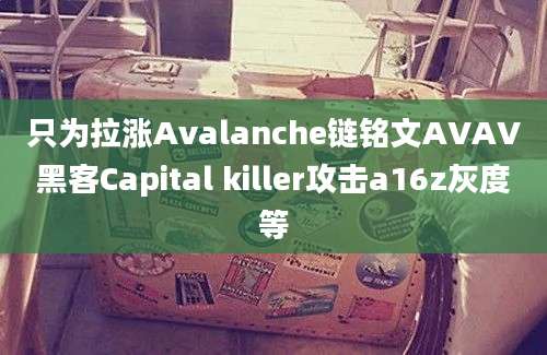 只为拉涨Avalanche链铭文AVAV黑客Capital killer攻击a16z灰度等