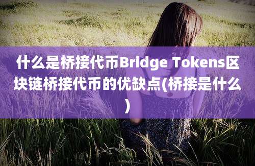 什么是桥接代币Bridge Tokens区块链桥接代币的优缺点(桥接是什么)