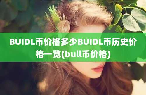 BUIDL币价格多少BUIDL币历史价格一览(bull币价格)