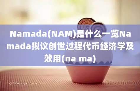 Namada(NAM)是什么一览Namada拟议创世过程代币经济学及效用(na ma)