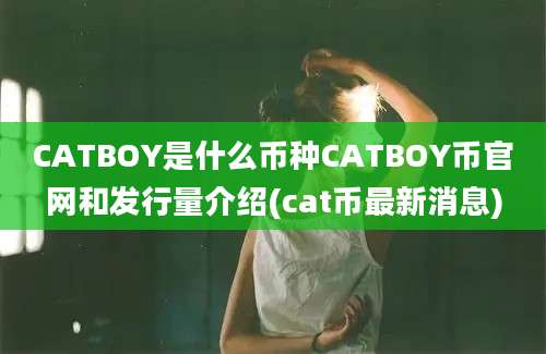 CATBOY是什么币种CATBOY币官网和发行量介绍(cat币最新消息)