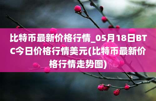 比特币最新价格行情_05月18日BTC今日价格行情美元(比特币最新价格行情走势图)