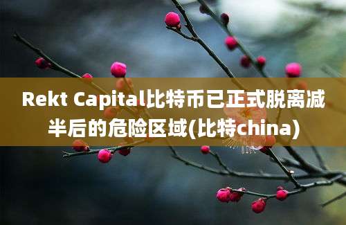 Rekt Capital比特币已正式脱离减半后的危险区域(比特china)