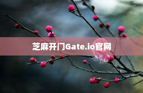 芝麻开门Gate.io官网