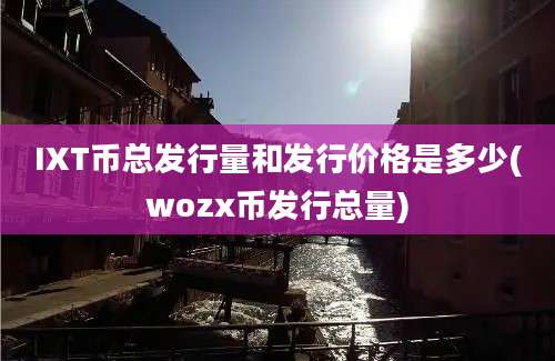 IXT币总发行量和发行价格是多少(wozx币发行总量)