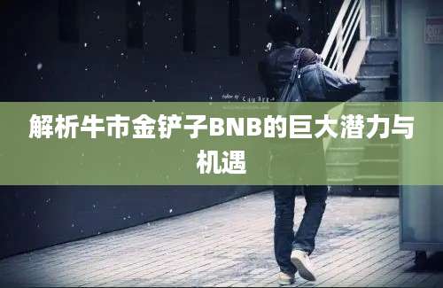 解析牛市金铲子BNB的巨大潜力与机遇