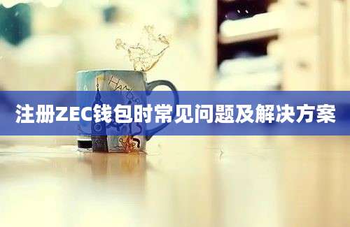 注册ZEC钱包时常见问题及解决方案