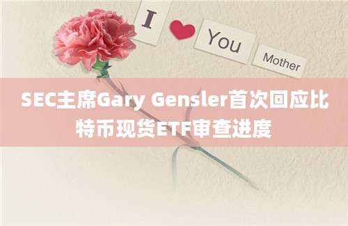 SEC主席Gary Gensler首次回应比特币现货ETF审查进度