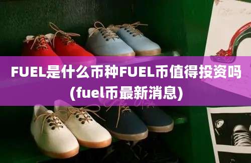 FUEL是什么币种FUEL币值得投资吗(fuel币最新消息)