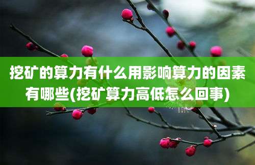 挖矿的算力有什么用影响算力的因素有哪些(挖矿算力高低怎么回事)