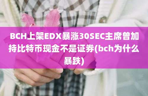 BCH上架EDX暴涨30SEC主席曾加持比特币现金不是证券(bch为什么暴跌)