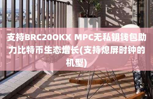 支持BRC20OKX MPC无私钥钱包助力比特币生态增长(支持熄屏时钟的机型)