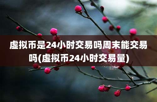 虚拟币是24小时交易吗周末能交易吗(虚拟币24小时交易量)