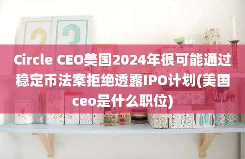 Circle CEO美国2024年很可能通过稳定币法案拒绝透露IPO计划(美国ceo是什么职位)