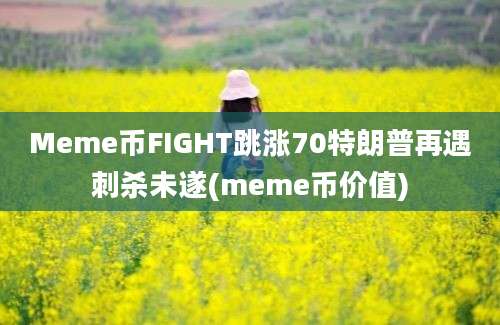 Meme币FIGHT跳涨70特朗普再遇刺杀未遂(meme币价值)