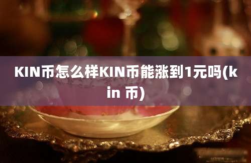 KIN币怎么样KIN币能涨到1元吗(kin 币)