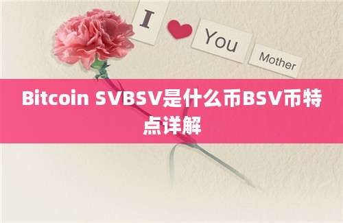 Bitcoin SVBSV是什么币BSV币特点详解