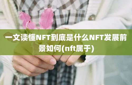 一文读懂NFT到底是什么NFT发展前景如何(nft属于)