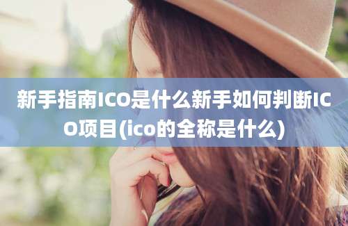 新手指南ICO是什么新手如何判断ICO项目(ico的全称是什么)