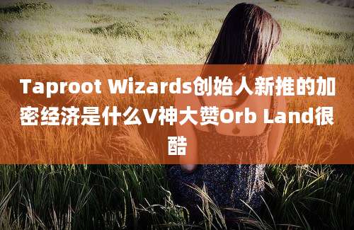 Taproot Wizards创始人新推的加密经济是什么V神大赞Orb Land很酷