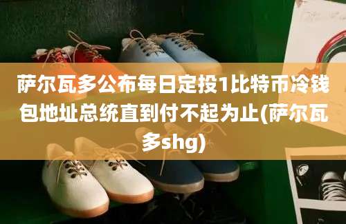 萨尔瓦多公布每日定投1比特币冷钱包地址总统直到付不起为止(萨尔瓦多shg)