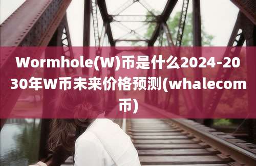 Wormhole(W)币是什么2024-2030年W币未来价格预测(whalecom币)