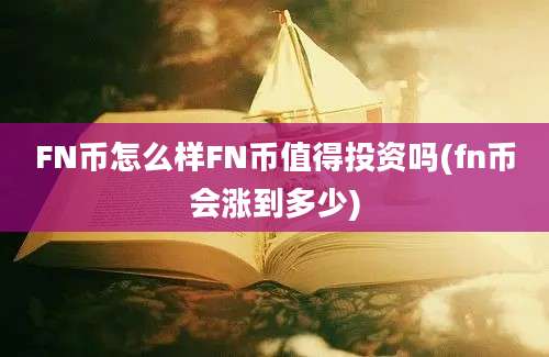 FN币怎么样FN币值得投资吗(fn币会涨到多少)