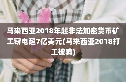 马来西亚2018年起非法加密货币矿工窃电超7亿美元(马来西亚2018打工被骗)