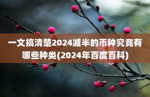 一文搞清楚2024减半的币种究竟有哪些种类(2024年百度百科)