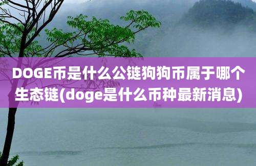 DOGE币是什么公链狗狗币属于哪个生态链(doge是什么币种最新消息)