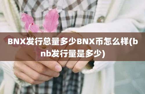 BNX发行总量多少BNX币怎么样(bnb发行量是多少)