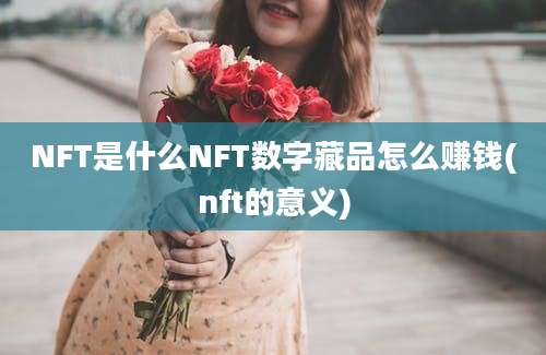 NFT是什么NFT数字藏品怎么赚钱(nft的意义)