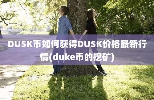 DUSK币如何获得DUSK价格最新行情(duke币的挖矿)