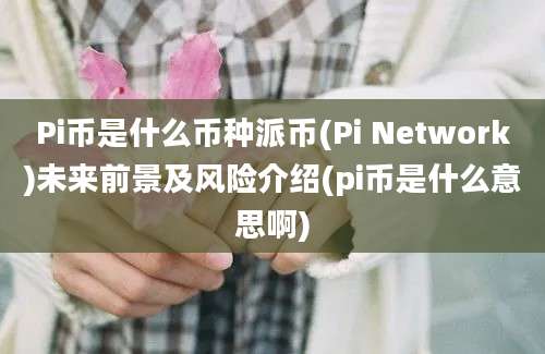 Pi币是什么币种派币(Pi Network)未来前景及风险介绍(pi币是什么意思啊)