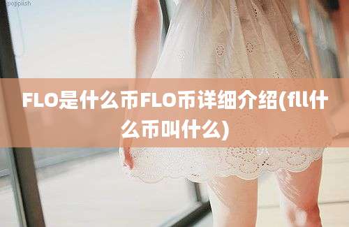 FLO是什么币FLO币详细介绍(fll什么币叫什么)