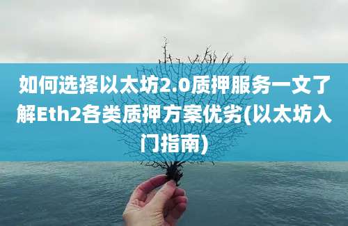 如何选择以太坊2.0质押服务一文了解Eth2各类质押方案优劣(以太坊入门指南)