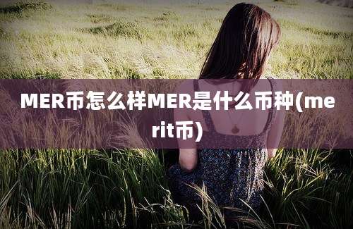 MER币怎么样MER是什么币种(merit币)