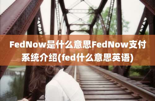 FedNow是什么意思FedNow支付系统介绍(fed什么意思英语)