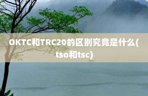 OKTC和TRC20的区别究竟是什么(tso和tsc)